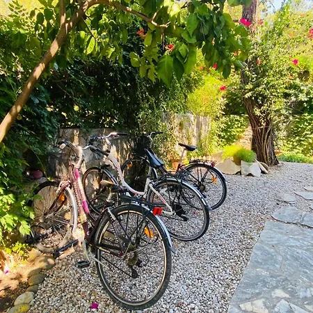 Yasemin Aparts Lägenhet *